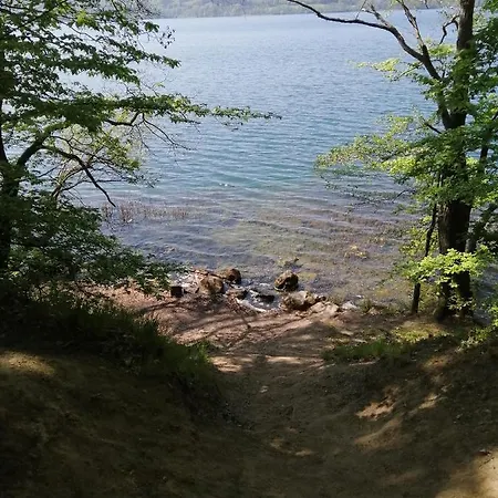 Pauly 게스트하우스 3*