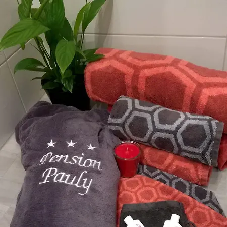 Pensión Pauly 3*