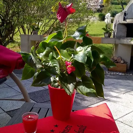 Pauly Pensión Boppard