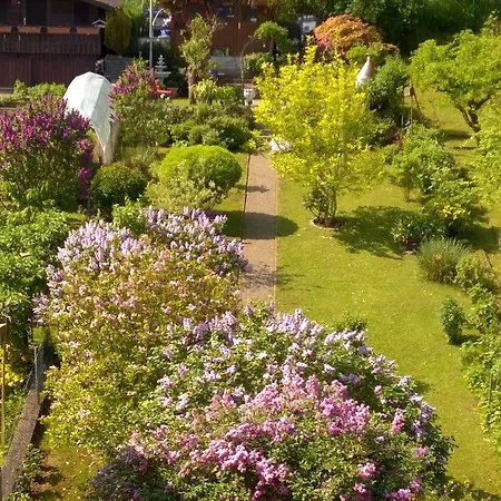 Pauly Pensión Boppard