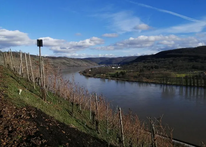 Casa de hóspedes Pauly