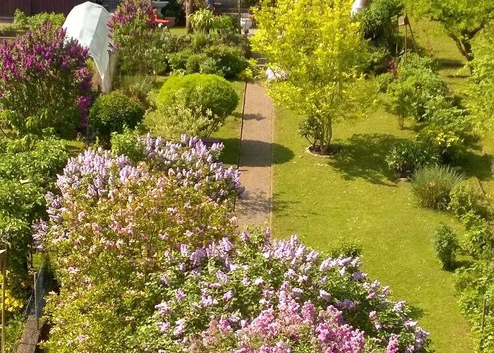 Pauly Casa de hóspedes Boppard